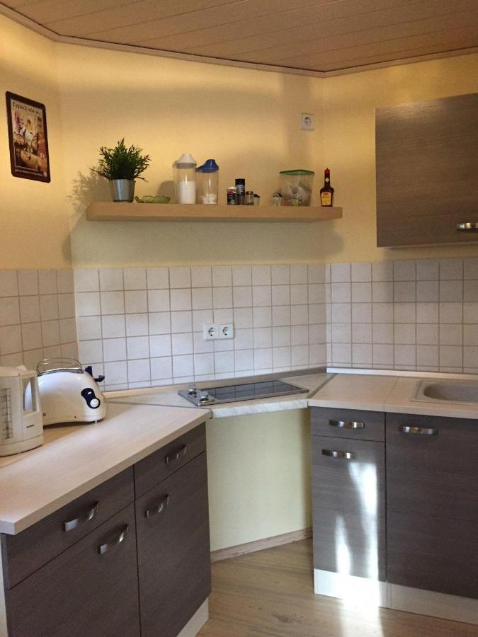 Ferienwohnung-Schmidt-2 Gelenau 外观 照片