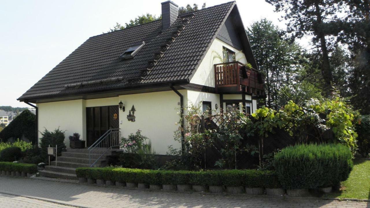 Ferienwohnung-Schmidt-2 Gelenau 外观 照片